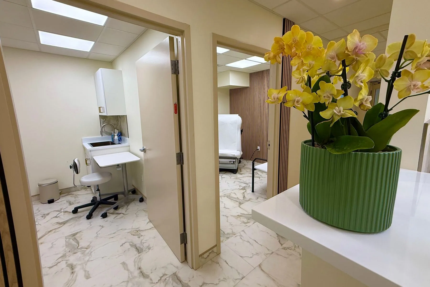 The corridor between rooms: an orchid on a white counter, with an examination room door standing open.