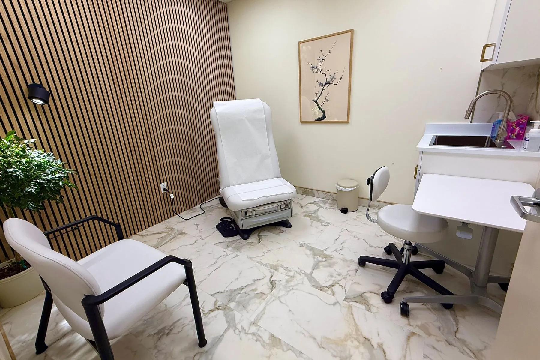 An examination room at the clinic: a slatted wood wall, an examination chair beneath a framed blossom print, and a sink and counter.